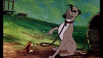 Image Fox and the Hound
