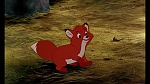 Image Fox and the Hound
