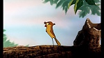 Image Fox and the Hound
