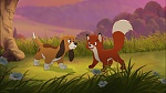 Image Fox and the Hound 2