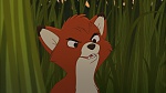 Image Fox and the Hound 2