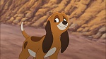 Image Fox and the Hound 2