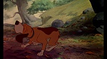 Fox and the Hound