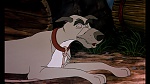 Fox and the Hound