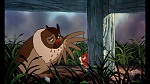 Image Fox and the Hound