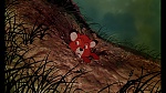 Image Fox and the Hound