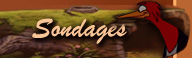 Sondage