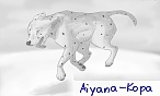 Aiyana-Kopa