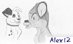 Alex 12 Alex 12