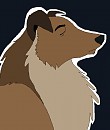 The Collie