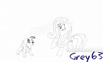 grey63