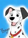 Young Pongo
