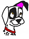 patch