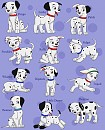 Boy Puppies