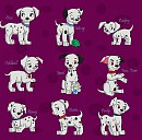 Girl puppies