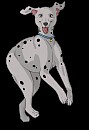Perdita