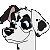 Bandit