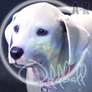 Oddball Avatar