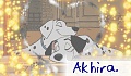 Akhira.