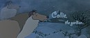 Collie, the Gardian