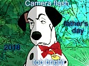 Camera Flash