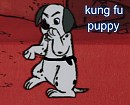 Kung Fu Puppy