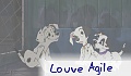 Louve Agile