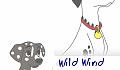 Wild Wind