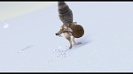 L'Age de Glace picture