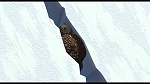 L'Age de Glace picture