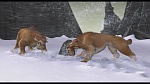 Image L'Age de Glace