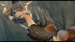 Image L'Age de Glace 3 : Le Temps des dinosaures