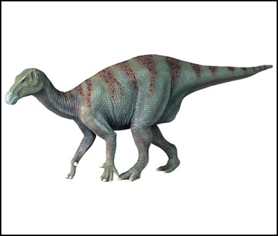 Rex