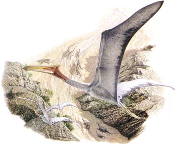 Brachiosaurus