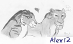 Alex 12