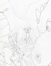 Une petite pens�e pour...