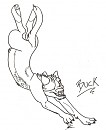 -Buck- *OLD*