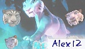 Alex 12