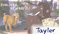 Tayler
