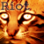 Riot The R.