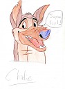 Charlie (for Amyloup)