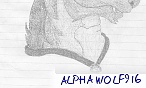 ALPHA WOLF916