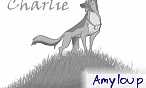 Amyloup