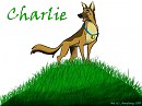 Charlie