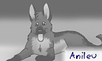 anileu