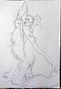 Charlie / Sketch 