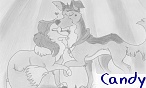 candy