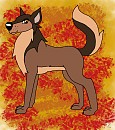 Fiche design de Burt R Barkin (d�fi)