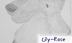Lily-Rose