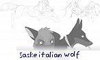 saske italian wolf